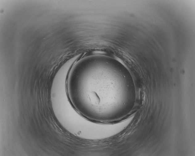 X0000061761108200512091654