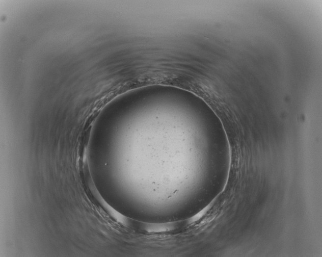 X0000061761109200512091654