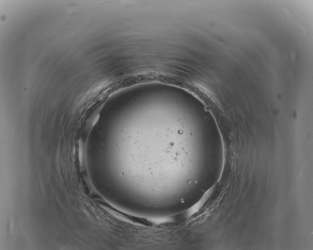 X0000061761111200512091654