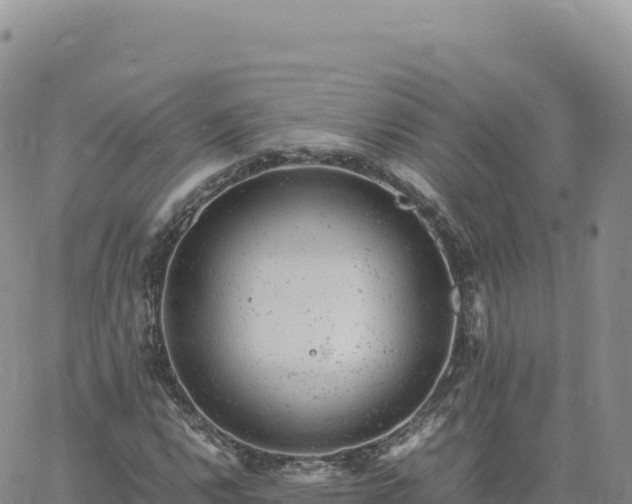 X0000061761112200512091654