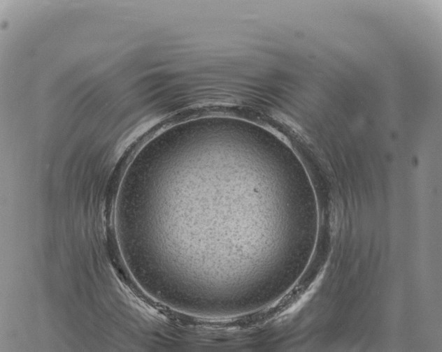 X0000061761113200512091654