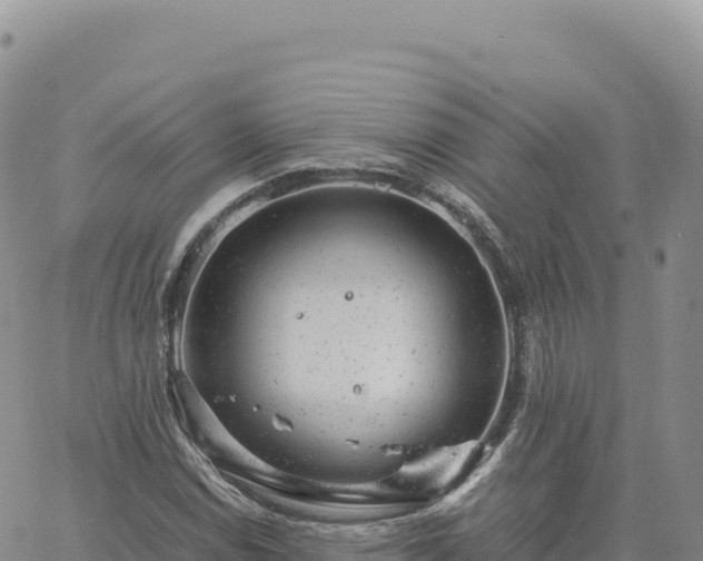 X0000061761114200512091654