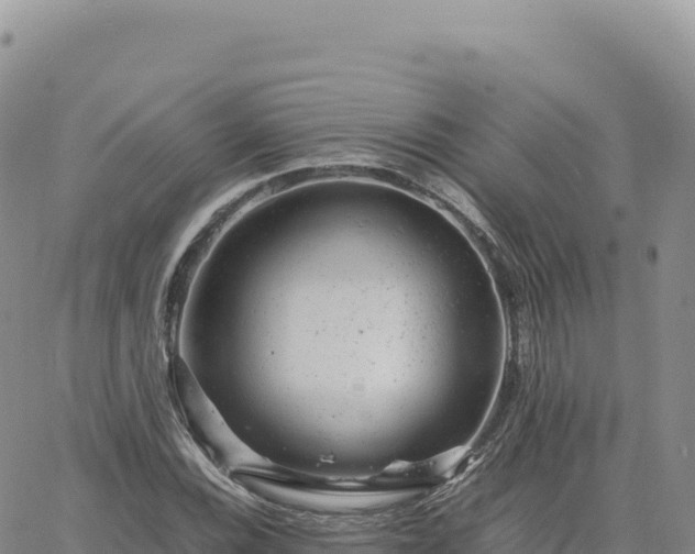 X0000061761116200512091654