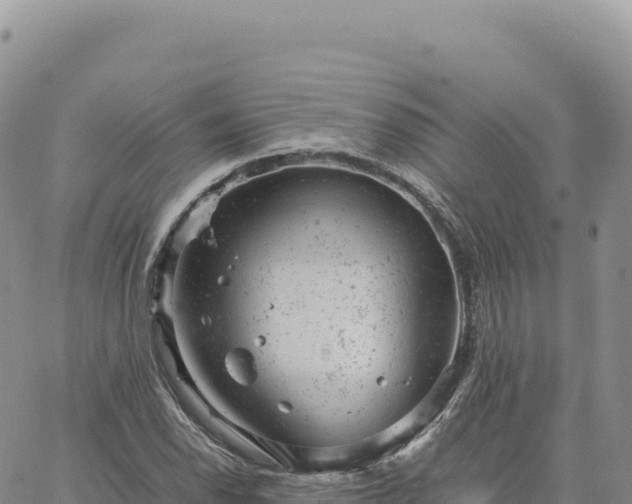 X0000061761118200512091654