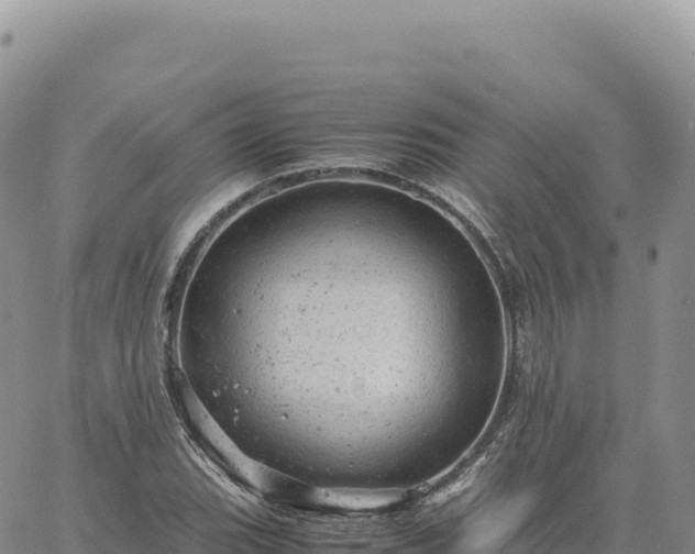 X0000061761119200512091654