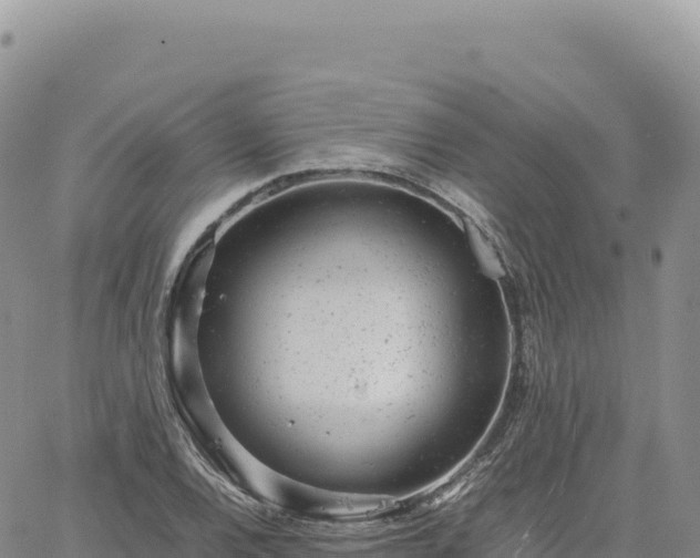 X0000061761120200512091654