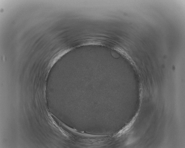 X0000061761121200512091654