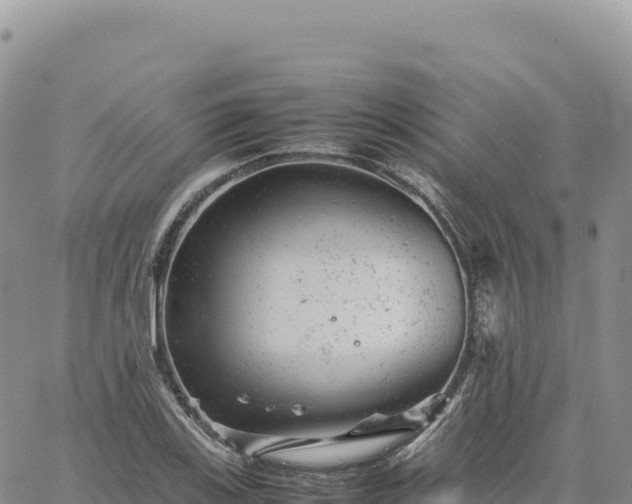 X0000061761123200512091654