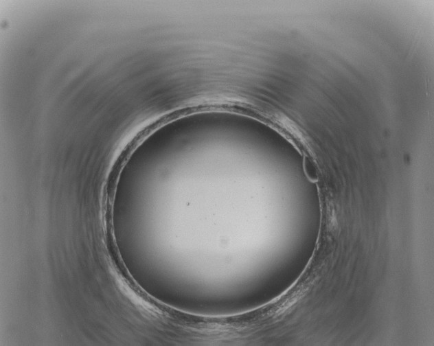 X0000061761124200512091654