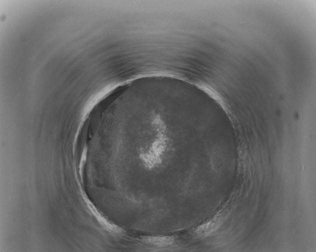 X0000061761127200512091654