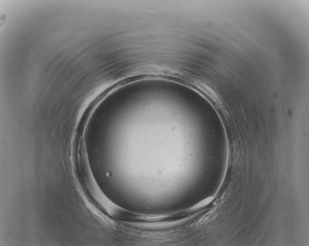 X0000061761128200512091654