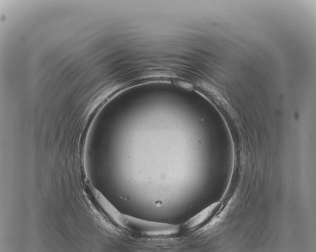 X0000061761129200512091654