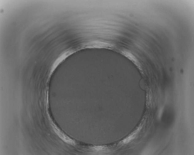 X0000061761130200512091654