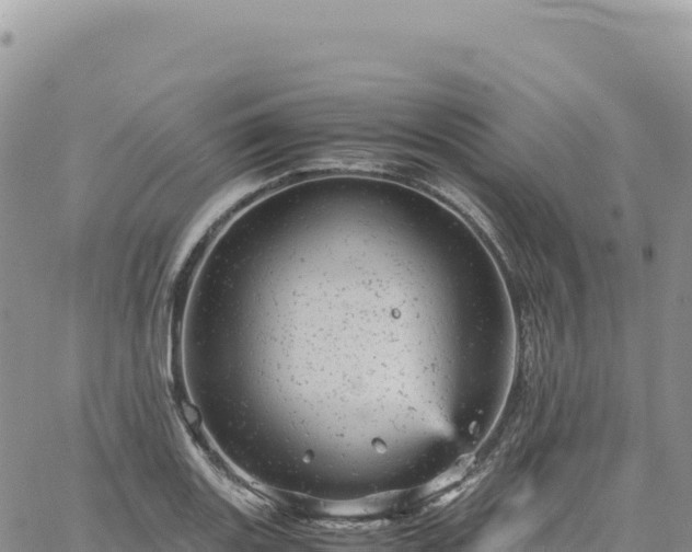 X0000061761131200512091654