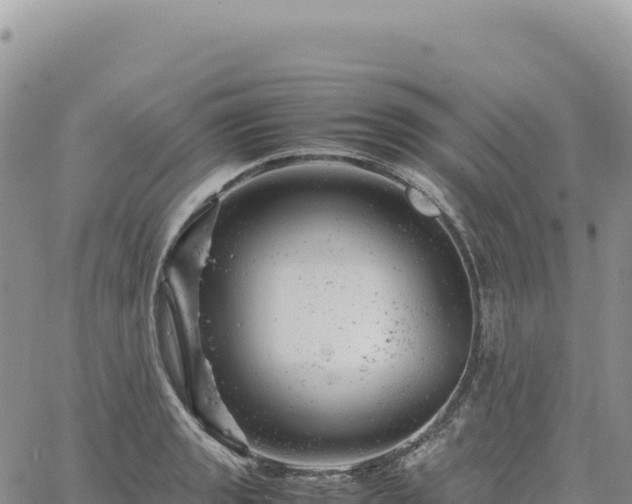 X0000061761133200512091654