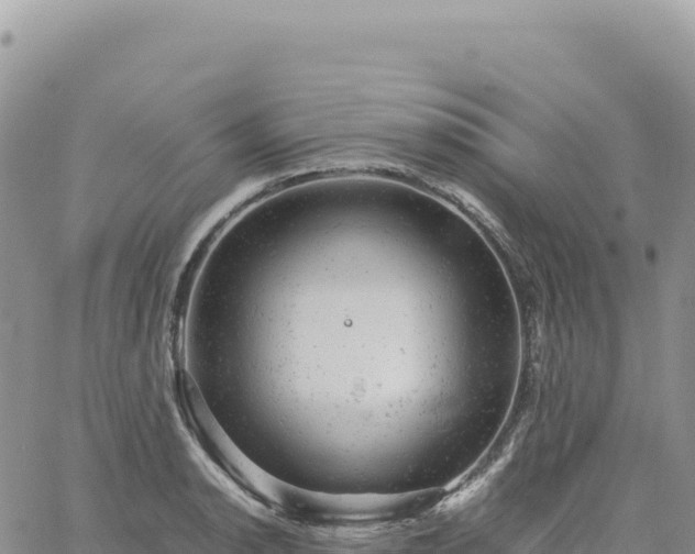 X0000061761134200512091654