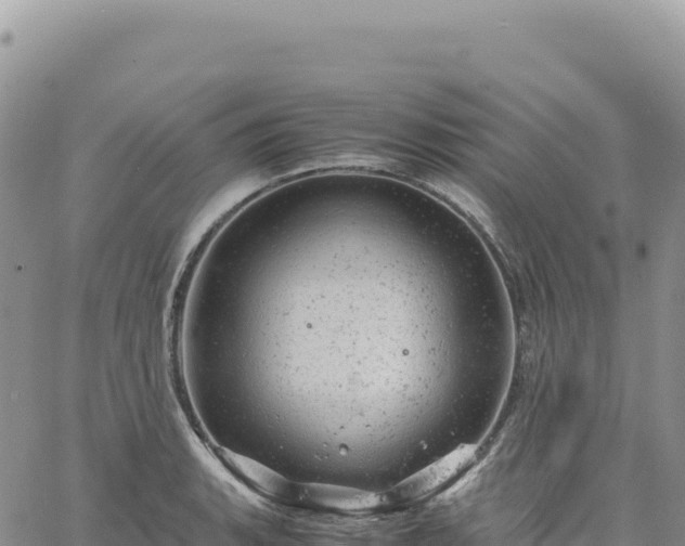 X0000061761135200512091654