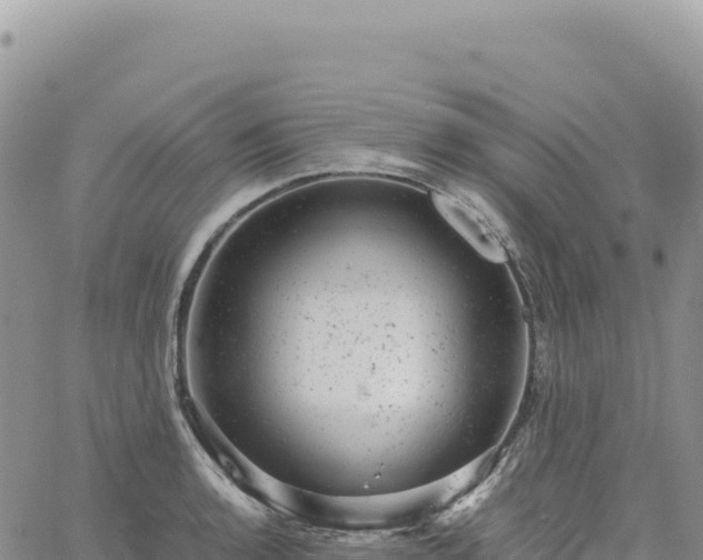 X0000061761136200512091654