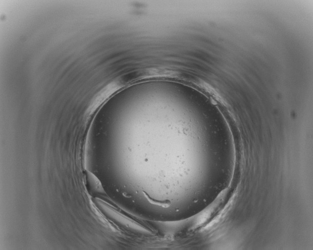 X0000061761137200512091654