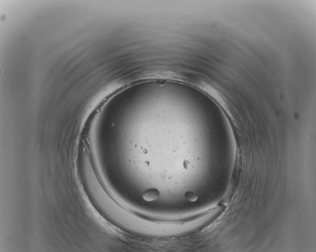 X0000061761139200512091654