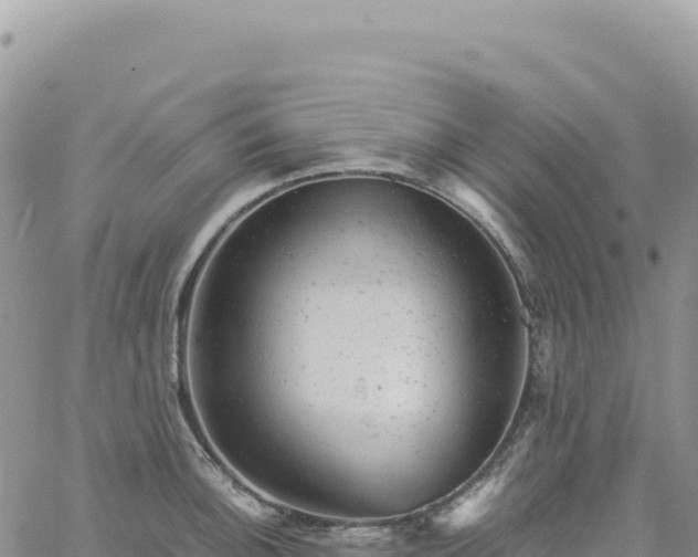 X0000061761140200512091654