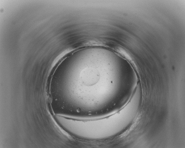 X0000061761141200512091654