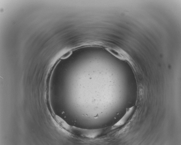 X0000061761143200512091654