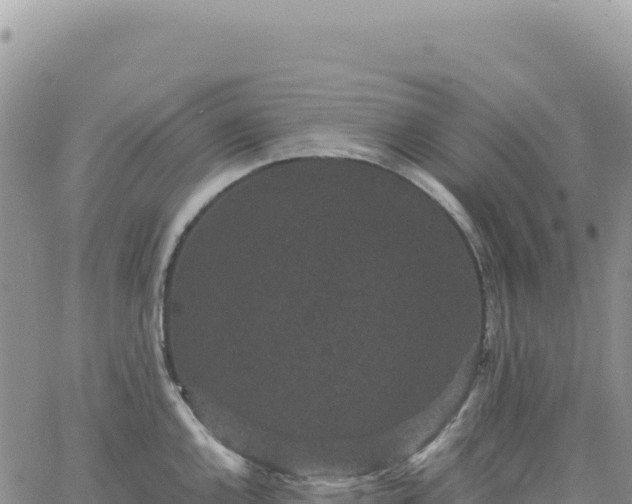 X0000061761144200512091654