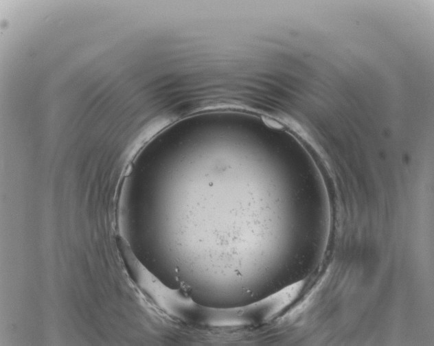 X0000061761145200512091654