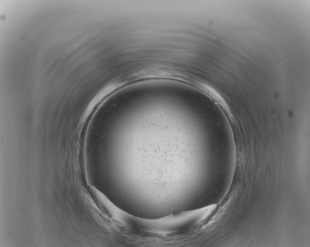 X0000061761146200512091654