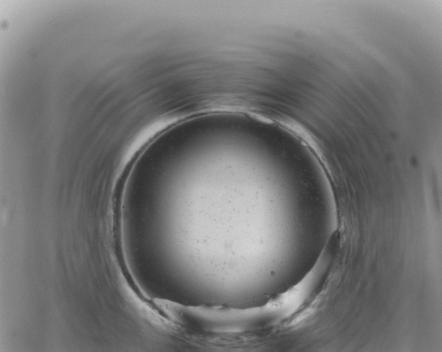 X0000061761147200512091654