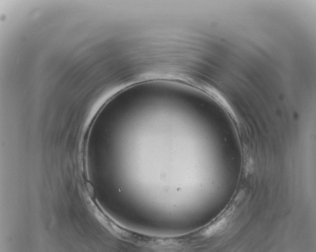 X0000061761148200512091654