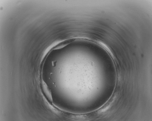 X0000061761149200512091654