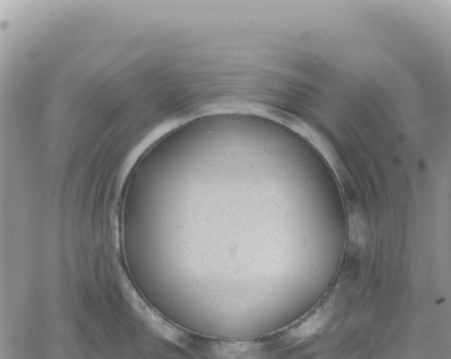 X0000061761150200512091654