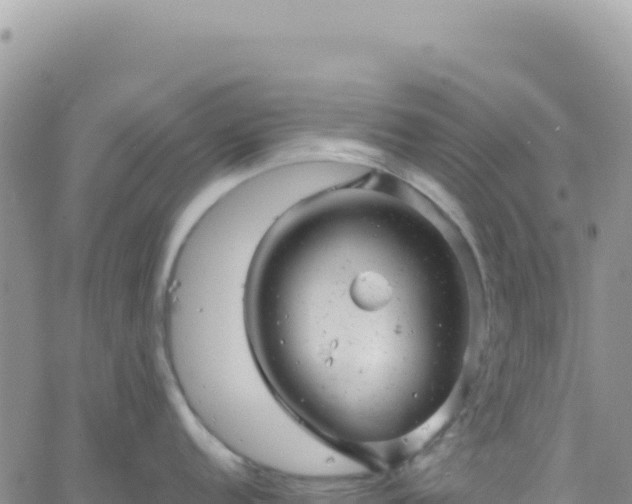 X0000061761152200512091654