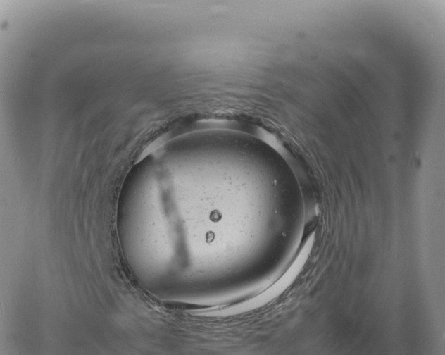 X0000061761153200512091654