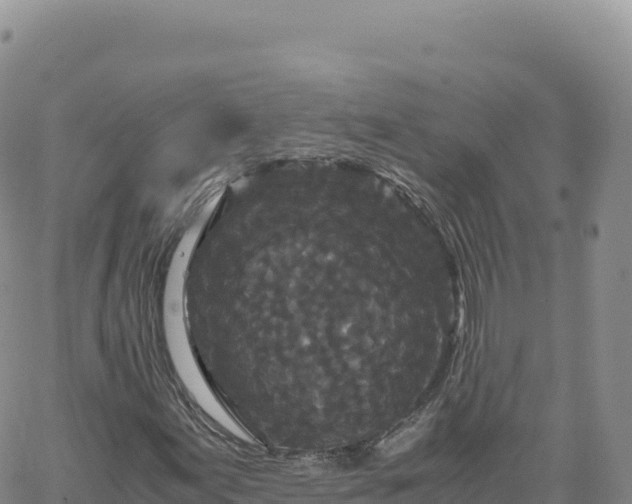 X0000061761155200512091654