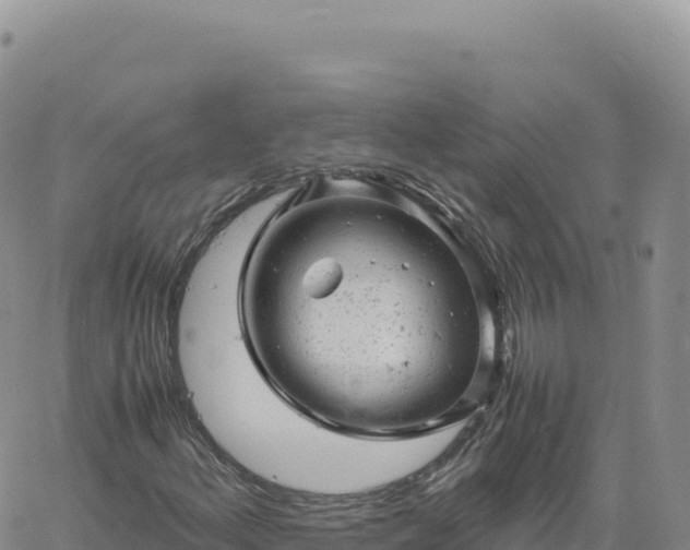 X0000061761156200512091654