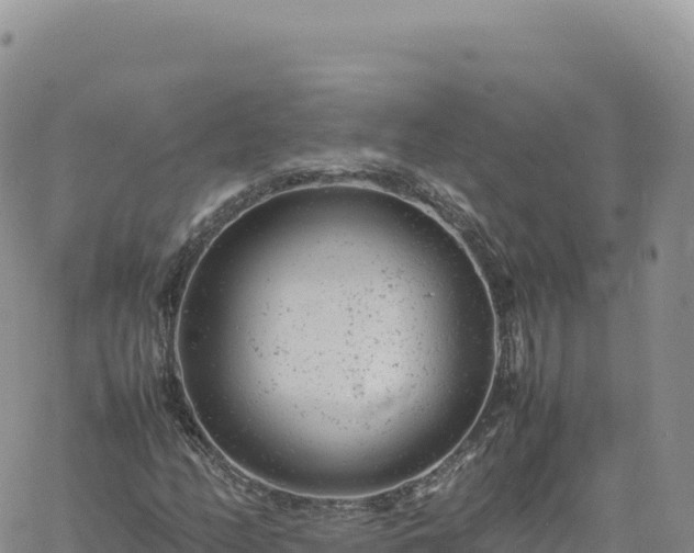 X0000061761158200512091654