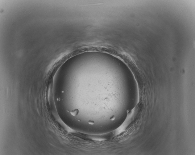 X0000061761159200512091654