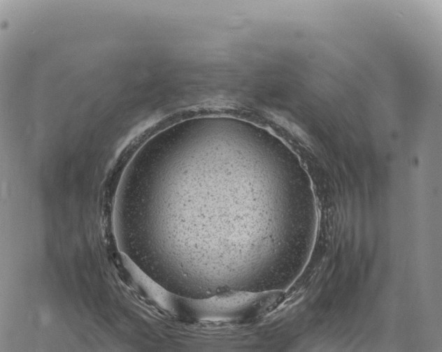 X0000061761160200512091654