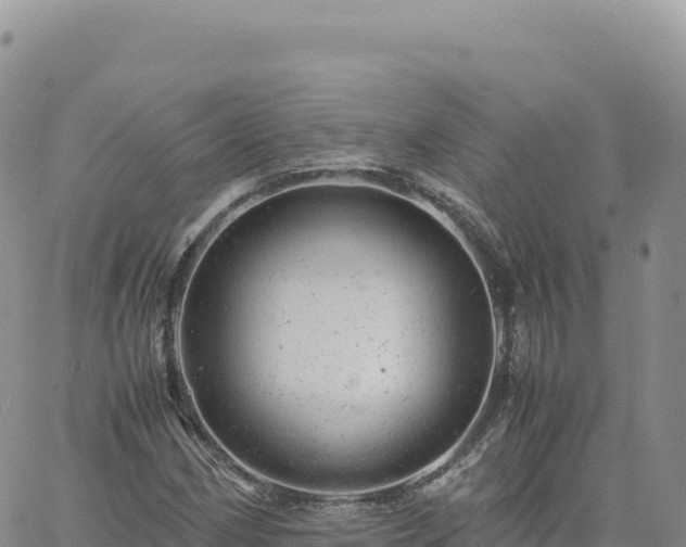 X0000061761162200512091654