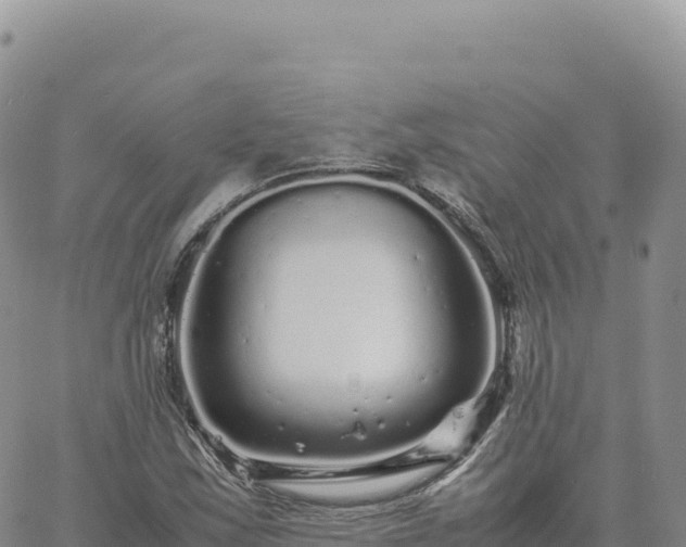 X0000061761163200512091654