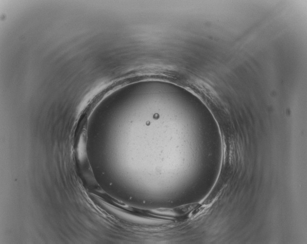 X0000061761164200512091654