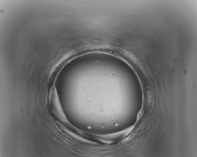 X0000061761165200512091654