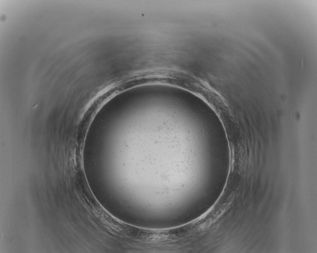 X0000061761166200512091653