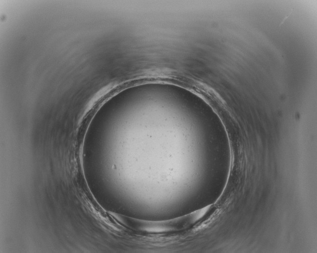 X0000061761168200512091653