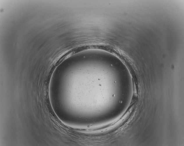 X0000061761169200512091653