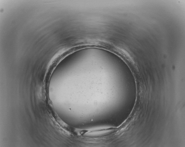 X0000061761172200512091653