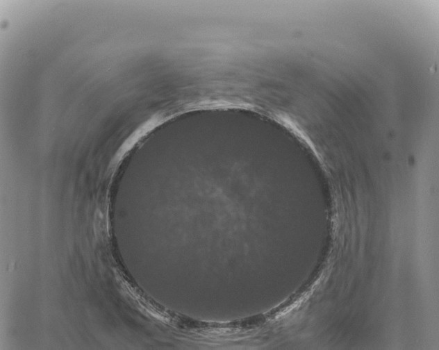 X0000061761173200512091653